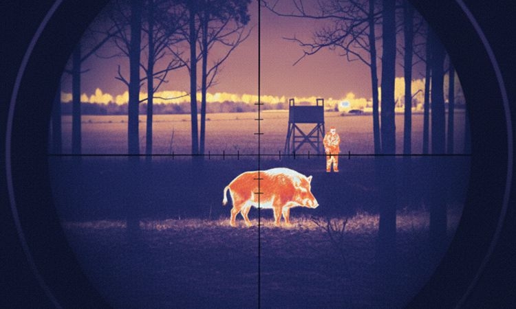 Zabójstwo na polowaniu pod Milejowem: Myśliwy może opuścić areszt za kaucją