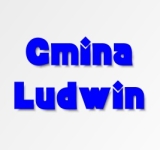 Wojewódzki Zlot Morsów: zimowe kąpiele dla szczytnego celu